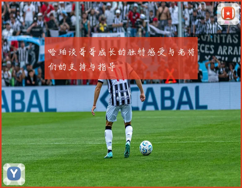 哈珀谈哥哥成长的独特感受与老将们的支持与指导